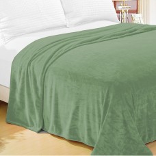 FRAZADA 1 PZA MIC FLANNEL HOME CLASS